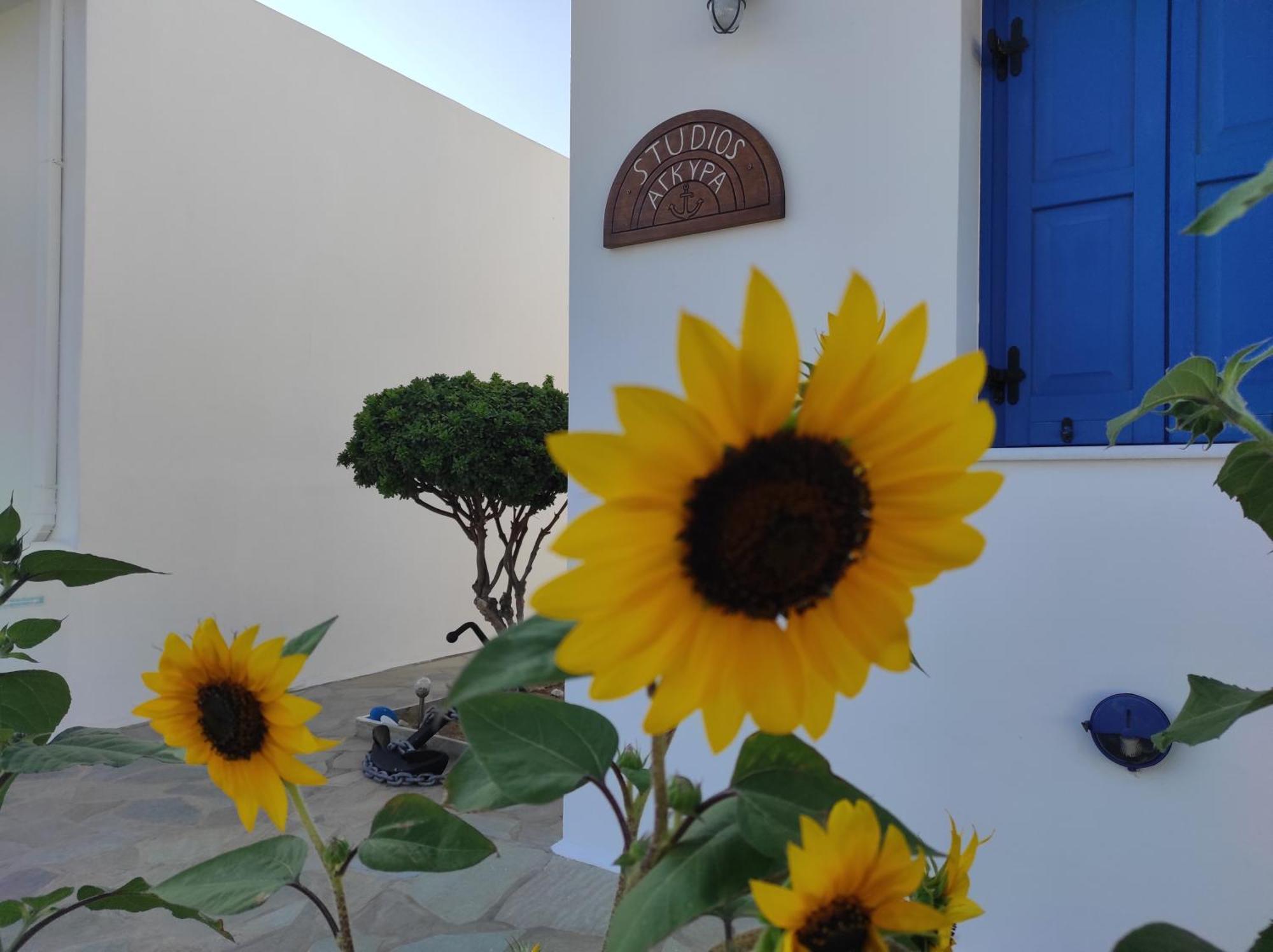 Studios Αγκυρα Livadi  Extérieur photo